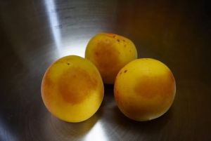 �ǂ���������̔~��