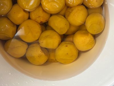 �ǂ���������̔~��