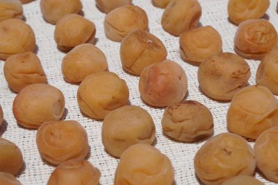 �ǂ���������̔~��