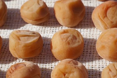 ��������̔~��