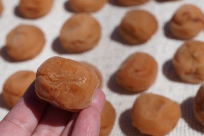 ��������̔~��