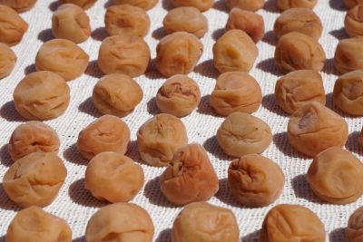 ��������̔~��