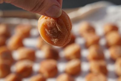 ��������̔~��