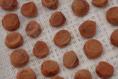 ��������̔~��