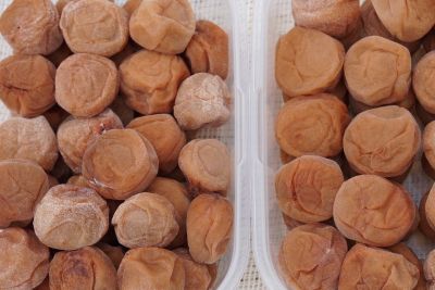 ��������̔~��