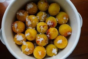 �ǂ���������̔~��