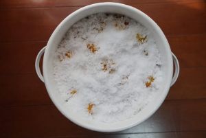 �ǂ���������̔~��