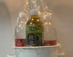 ��������̔~��