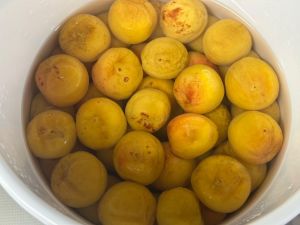 ��������̔~��