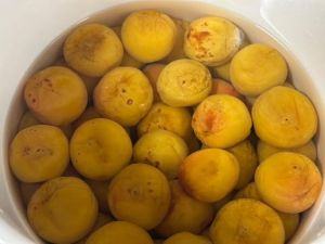 ��������̔~��