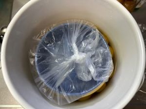 ��������̔~��