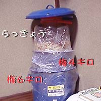 �d�΂����������