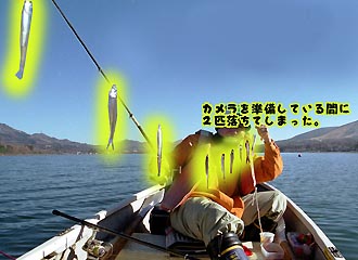 �摜������