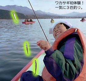 �摜������