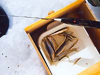 ���_�J�T�C�Y�̂킩����