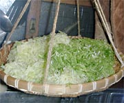 ����؂�̃L���x�c