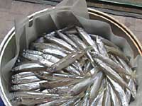 ���J�T�M��銱��