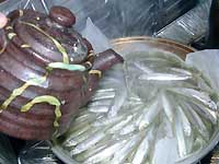 ��䥂ł͂�����